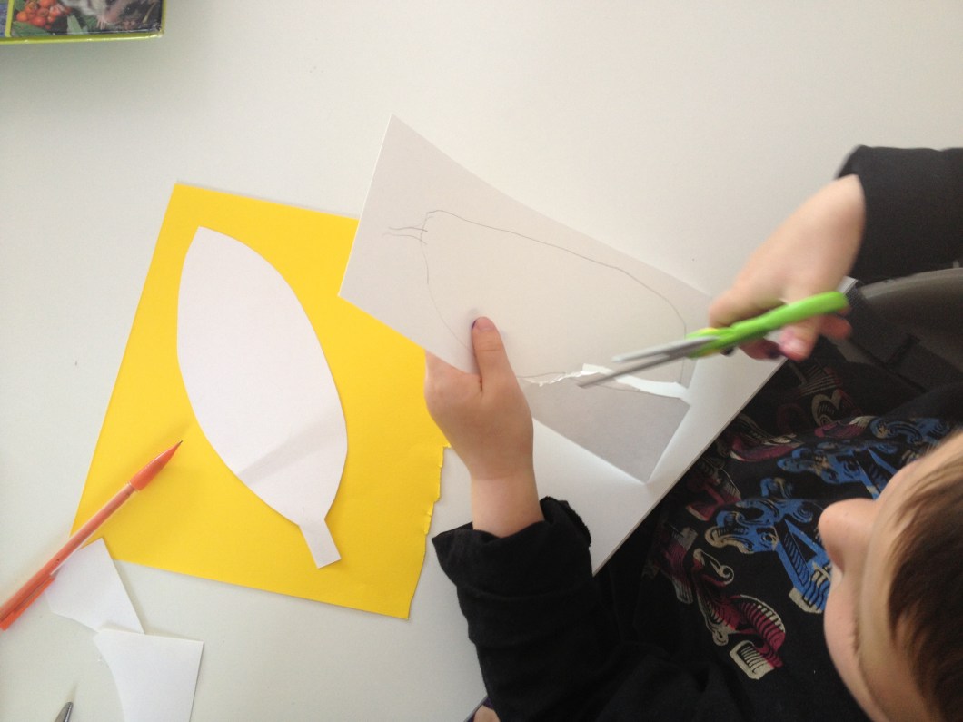 draw and cut out your feathers