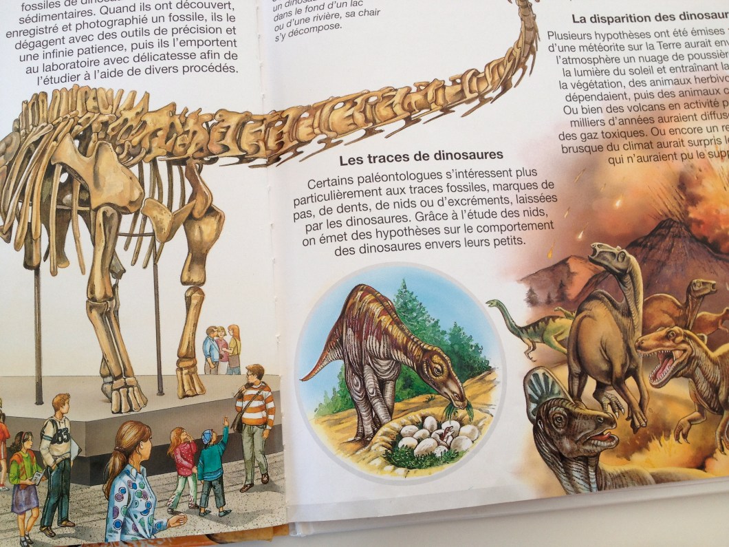 An image of a dinosaur nest out of "Les Dinosaures" by Editions Fleurus