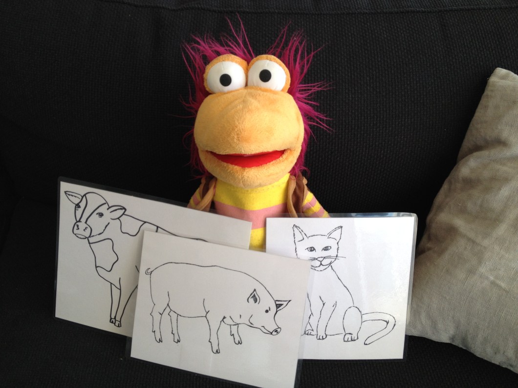 Gobo with his new friends!